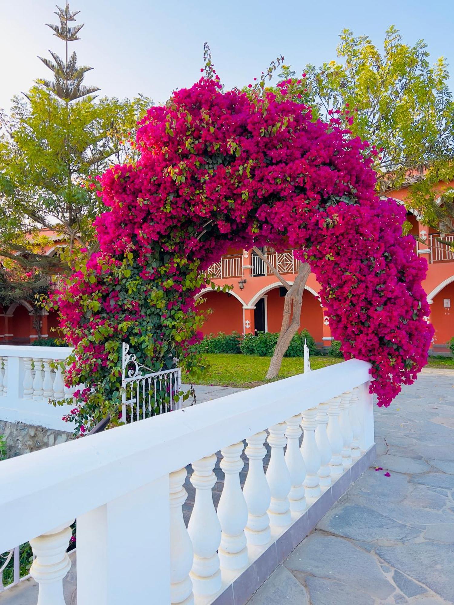 Hacienda San Juan Resort San Juan Bautista Εξωτερικό φωτογραφία